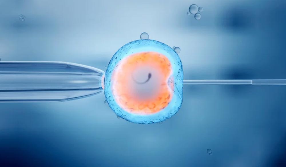 Embryo Pooling