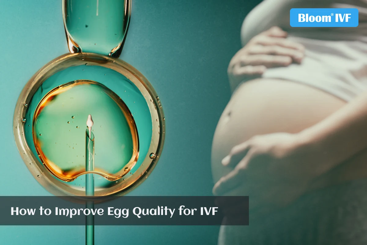 How to Improve Egg Quality for IVF