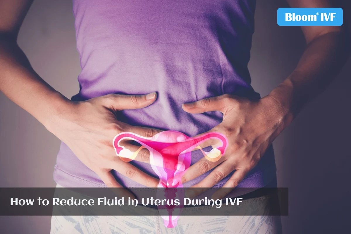 how to reduce fluid in uterus IVF