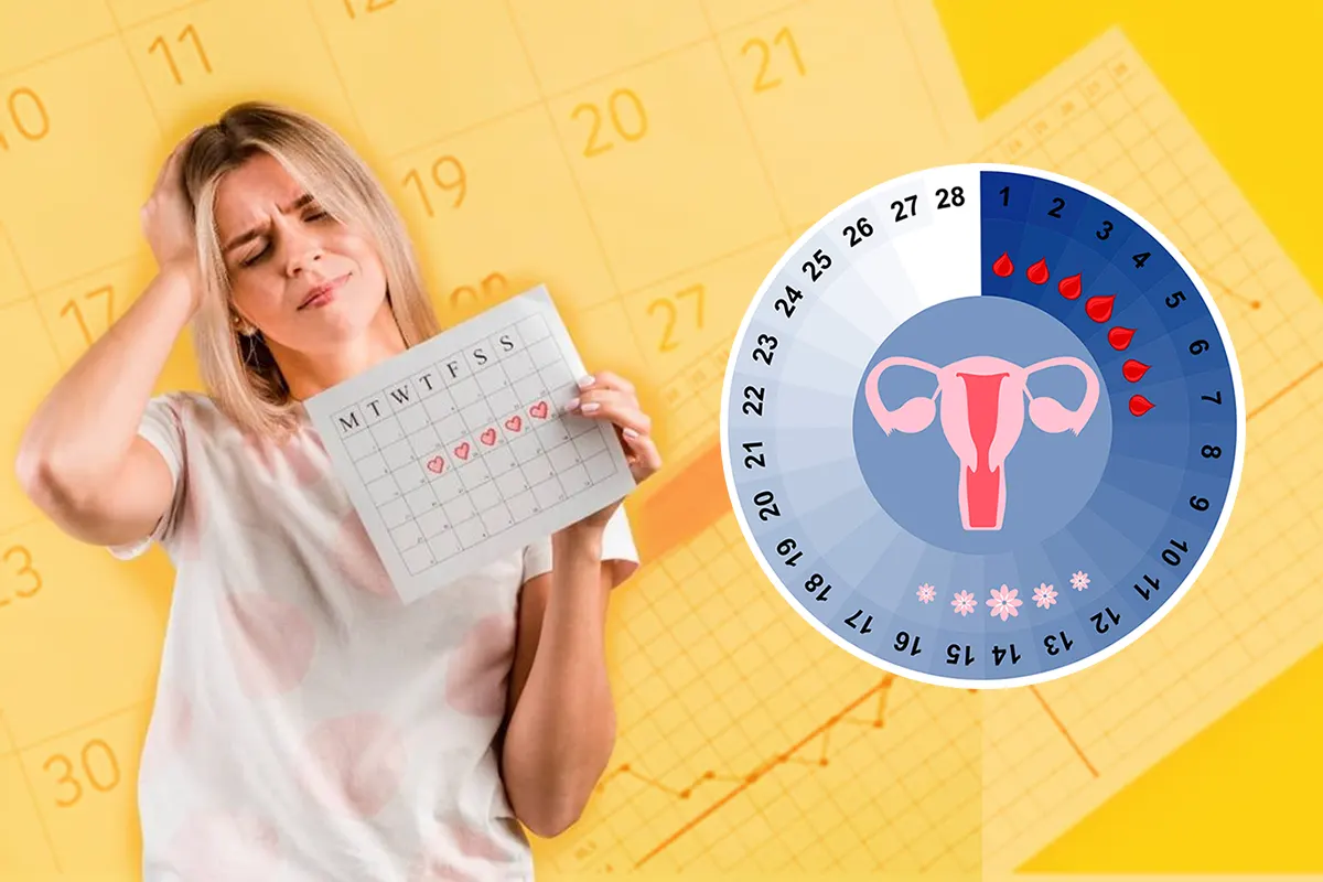 period calculator | Bloom IVF